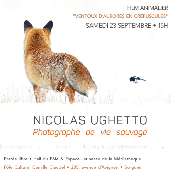 Nicolas Ughetto, photographe de vie sauvage