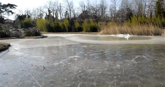 Plan grand froid : ce qu'il faut faire... et ne pas faire