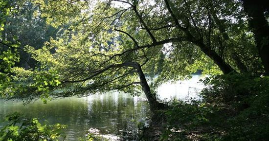 Visites nocturnes sur l'île de l'Oiselet : laissez-vous guider!