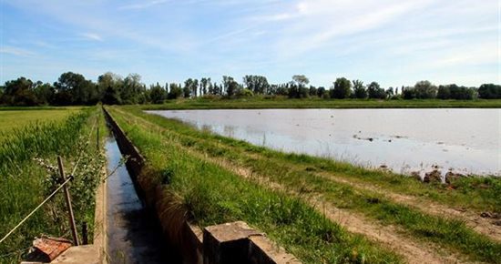 Sécheresse : Sorgues passe en situation de crise