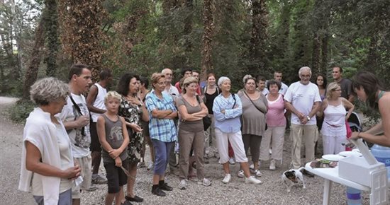 Visite guidée de l'île de l'Oiselay