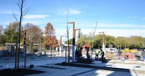 9 platanes agrémenteront le nouveau parvis du Centre administratif
