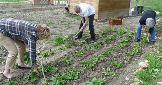 Jardins familiaux : nouveaux critères d'attribution