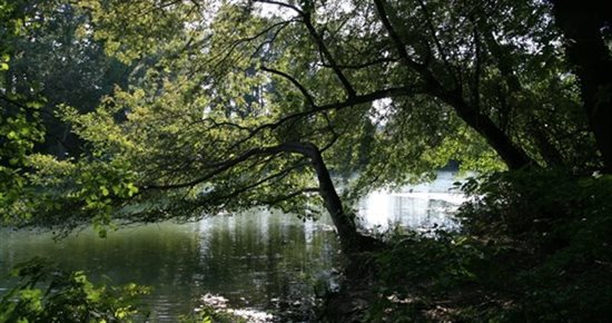 Sorgues, côté nature