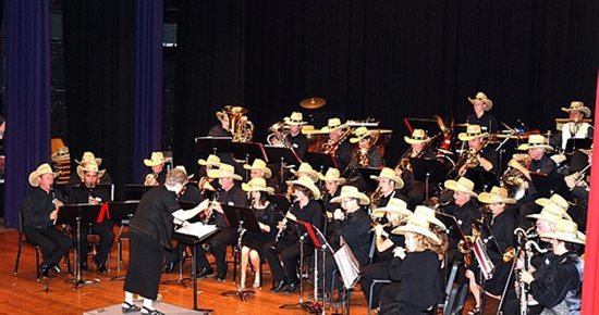 Les Philharmonistes des Pays de  Vaucluse en concert