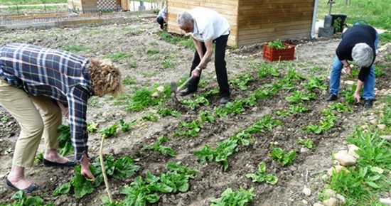 Jardins familiaux : 4 parcelles disponibles