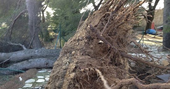 Intempéries à Sorgues : la reconnaissance de l’état de catastrophe naturelle refusée