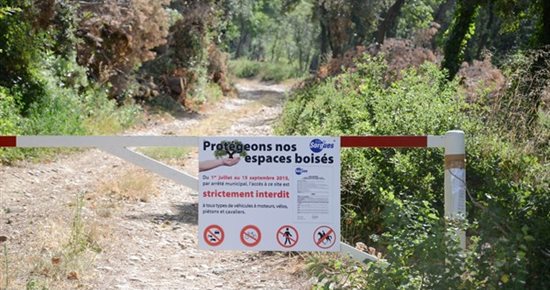 Une information renforcée pour protéger les espaces boisés