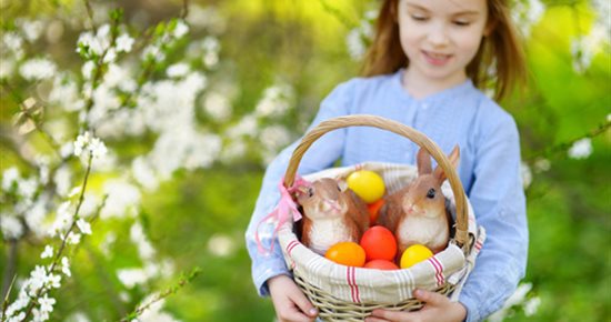 Chasse aux œufs par le CASEVS