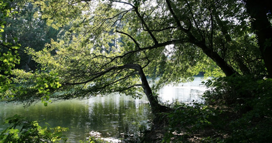 Visites guidées d'été