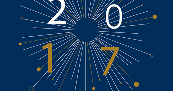 Bonne année 2017 !