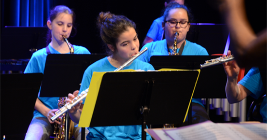 Inscriptions Classe à Horaires Aménagés Musique