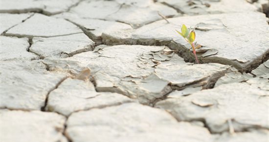 Alerte sécheresse renforcée - Restriction des usages d'eau