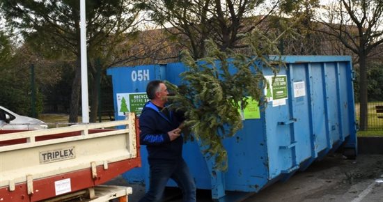 Recyclez votre sapin !