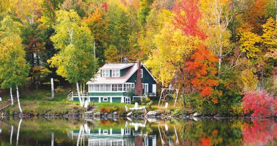 La littérature québécoise au Pôle culturel du 14 au 25 janvier