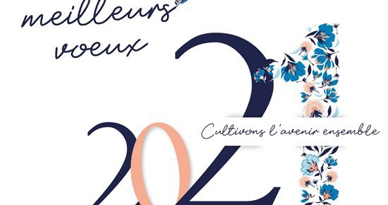 Voeux du maire pour 2021... en vidéo !