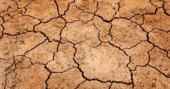 Sécheresse été 2021 : demande de reconnaissance en catastrophe naturelle