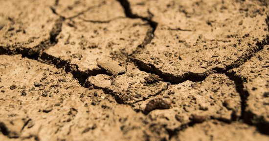 Sécheresse 2021 : rejet de demande de reconnaissance de l'état de catastrophe naturelle