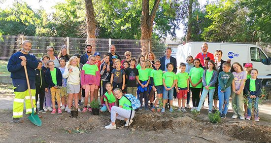 Plantation d’un massif végétal par les enfants du CASEVS