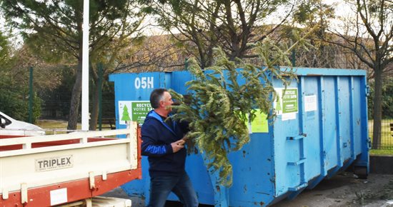 Recyclez votre sapin avec la benne à sapins