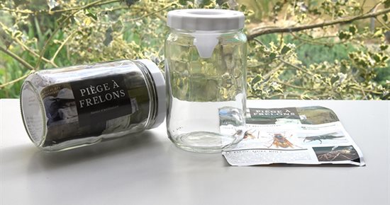 Frelons asiatiques : la Ville organise une distribution de pièges