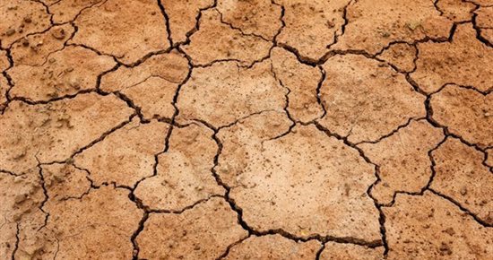 SÉCHERESSE 2023 : DEMANDE DE RECONNAISSANCE EN CATASTROPHE NATURELLE