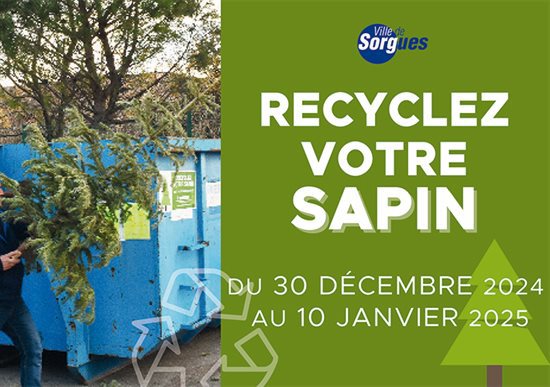 Offrez une seconde vie à votre sapin de Noël !