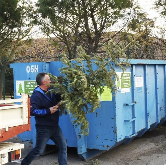 Offrez une seconde vie à votre sapin de Noël !