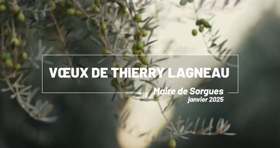 Voeux du Maire 2025