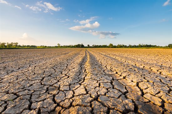 Sécheresse 2025 : Demande de reconnaissance en catastrophe naturelle