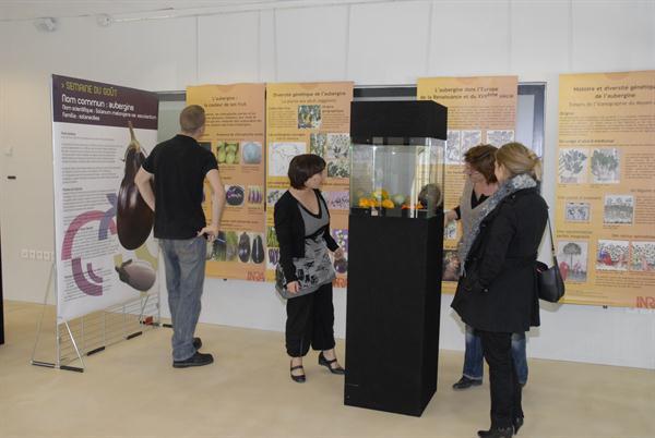 Exposition "Semaine du goût"