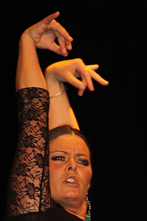 Spectacle Flamenco y mas