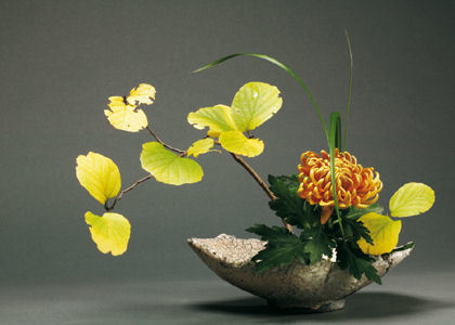 Ateliers de cuisine japonaise et Ikebana