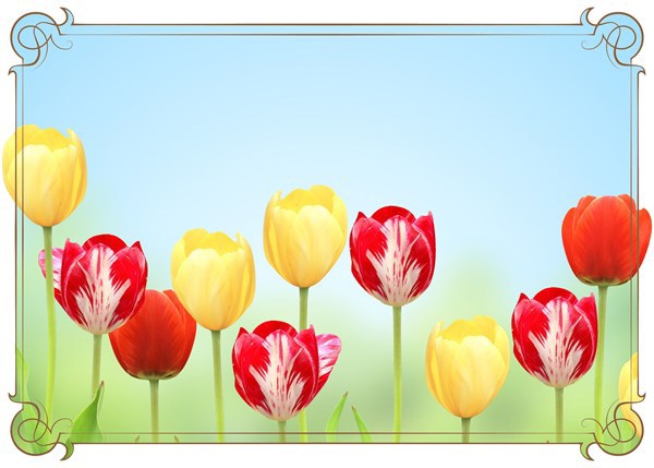 Remise de prix "Jardins et balcons en fête"