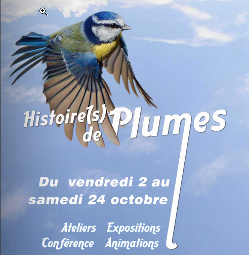 Fête de la science - Exposition "Plumes des bois : les oiseaux des forêts"
