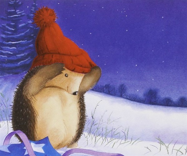Histoire : Le Noël du hérisson