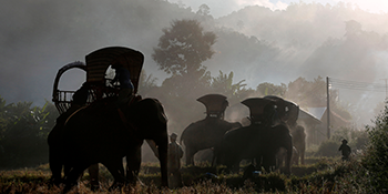 Exposition | La caravane des éléphants