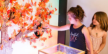 Exposition | Quatre saisons