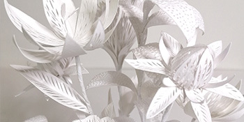 Exposition | L de papier