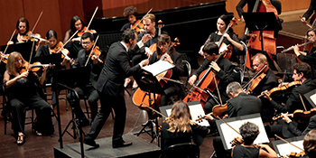 Concert | Le Requiem de Mozart [projection]