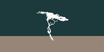 Projection | Terra Dolore