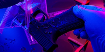 Murder party