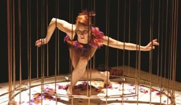 Spectacle "Ouvre la cage"