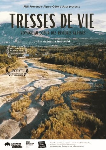 Projection | Les rivières en tresse