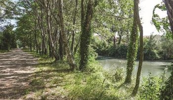 Sortie naturaliste