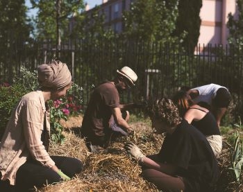 Conférence | Agriculture urbaine et stratégies d'adaptation