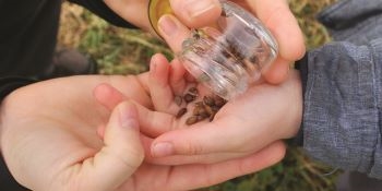 Animation | Graines de jardiniers