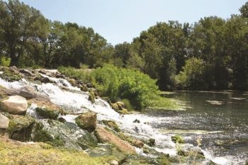 Sortie | Les secrets des végétaux de l'île de l'Oiselay
