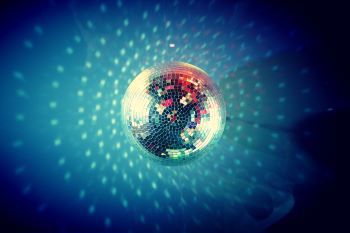 Disco cat par Sorg' Amichats
