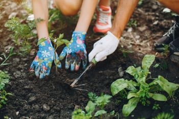Le jardin partagé | CeSam